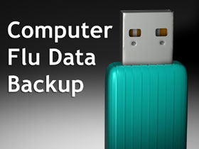 Computer Flu Data Backup